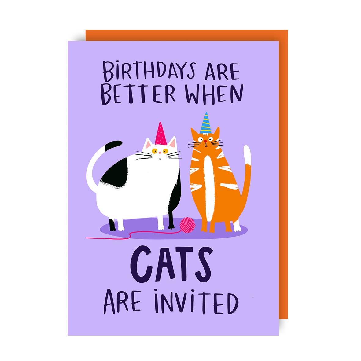 Funny Cats Invited Birthday Card
