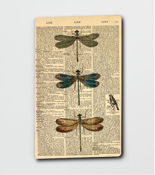 Dragonfly Notebook, Dictionary Art - Notepad - Journal