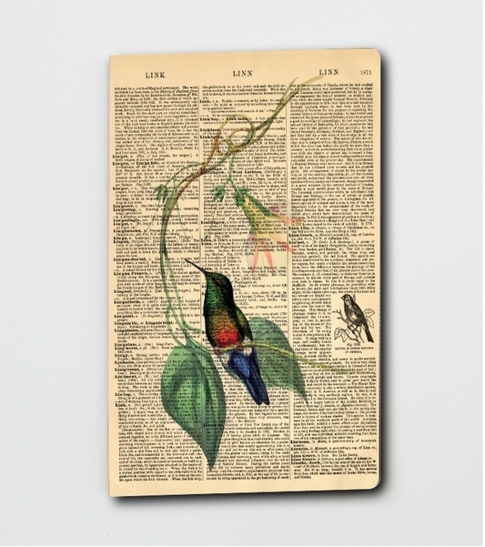 Dictionary Art Hummingbird - Notebook - Journal