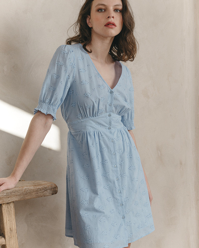 Joie Dress Bleu