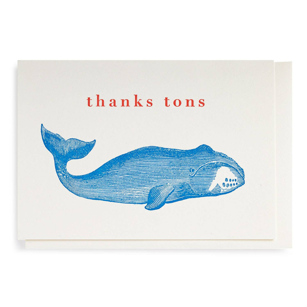 Thank You Whale | Single Notelet Card