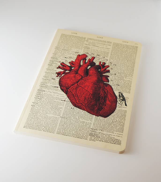 Anatomical Heart Notebook - Notepad - Journal