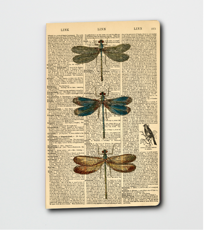 Dragonfly Notebook, Dictionary Art - Notepad - Journal