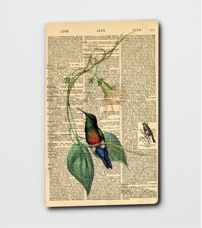 Dictionary Art Hummingbird - Notebook - Journal