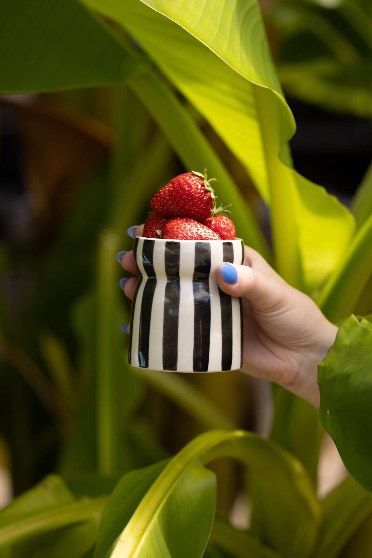 Hand holding a small striped container with strawberries amidst green foliage