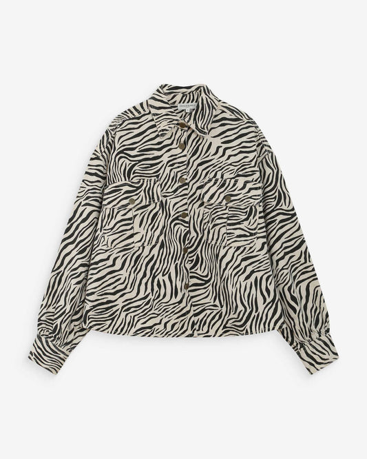 Zebra pattern blouse on a white background