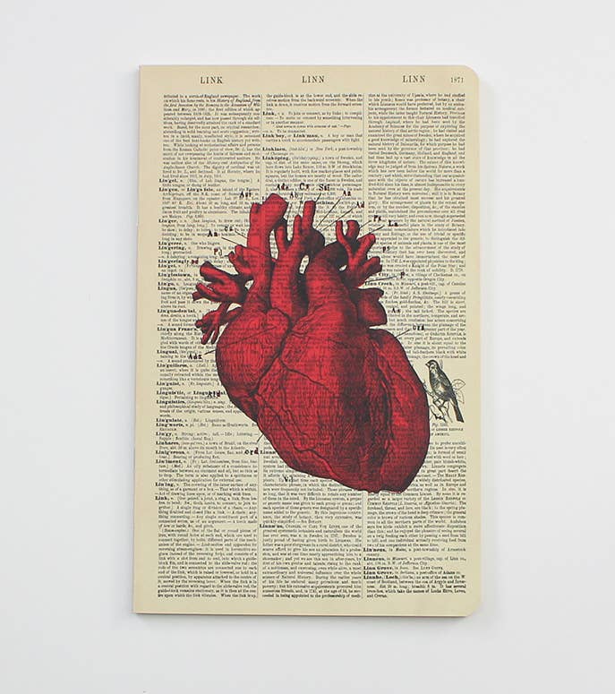 Anatomical Heart Notebook - Notepad - Journal